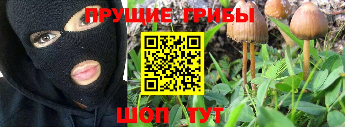 Галлюциногенные грибы прущие грибы Чусовой