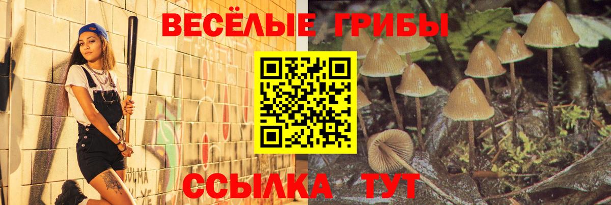 Псилоцибиновые грибы Psilocybe  Галлюциногенные грибы Cubensis  Вход с VPN  Чусовой 