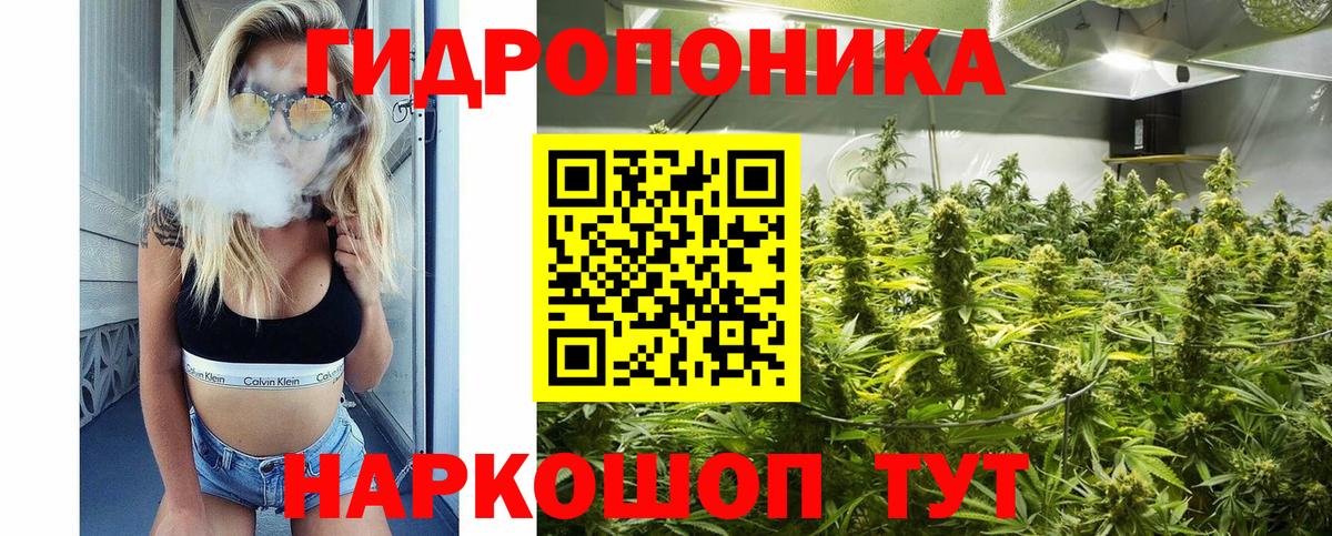 Шишки марихуана OG Kush  Вход с VPN  Бошки Шишки ГИДРОПОН  Чусовой  Бошки Шишки тримм 